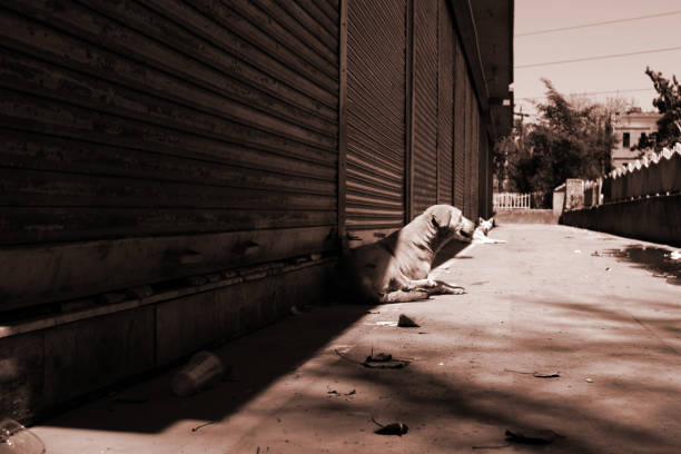 Lockdown India against Coronavirus or COVID-19 crisis for 21 days. India lockdown preventing covid19 epidemic and outbreak high resolution image.