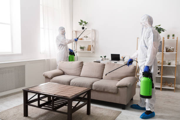 Professional cleaning with disinfectant spray of all home Professional cleaning with disinfectant spray of all home, flat surfaces, quarantine, coronavirus epidemic disinfection stock pictures, royalty-free photos & images