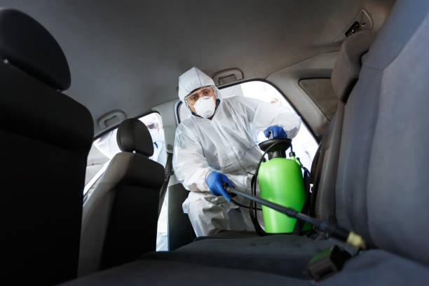 istock Man in protective suit disinfecting with chemicals his car 1216751085