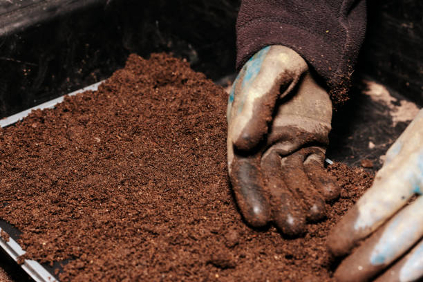 istock Woman preparing compost for potting on seedlings 1216751751