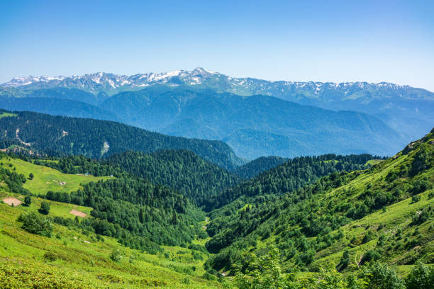 istock View over the Green Valley, surrounded by high mountains with snow on a clear summer day. 1216752964