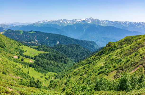 istock View over the Green Valley, surrounded by high mountains with snow on a clear summer day. 1216753000