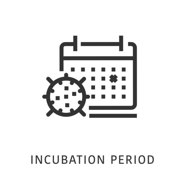 illustrations, cliparts, dessins animés et icônes de icône de période d’incubation - incubation period