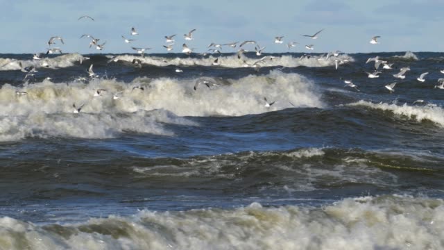 Heavy Waves on Baltic Sea During Stormy Weather Slow Motion, Gdansk Poland