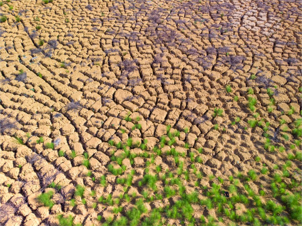 terre fissurée, monde sans eau, le monde ne devrait pas être désert - global warming cracked dirt earth photos et images de collection