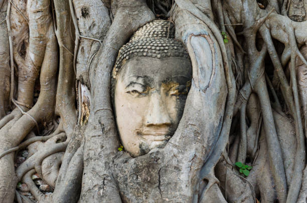 istock Ayutthaya, Thailand - Buddha Face in the tree 1216763536