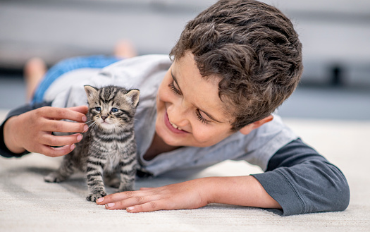 Young boy snuggles with his tiny kitten.