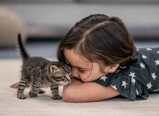 istock Little girl and her kittens. 1216771462