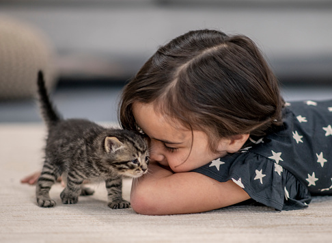 Cute young girl snuggles her kittens.