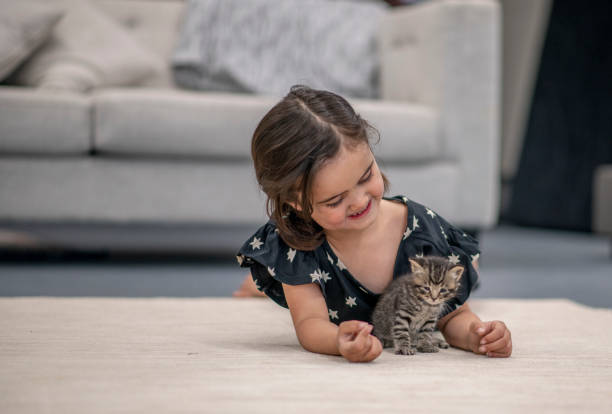 istock Little girl and her kittens. 1216771689