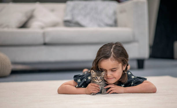 istock Little girl and her kittens. 1216771727