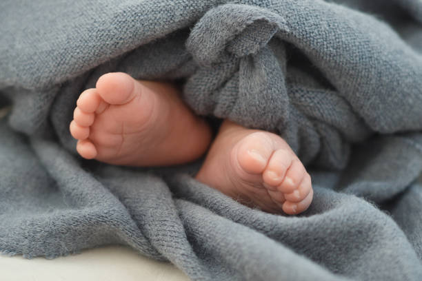 istock baby's feet in a blanket 1216777455