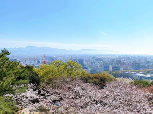 istock Matsuyama cityscape 1216778982