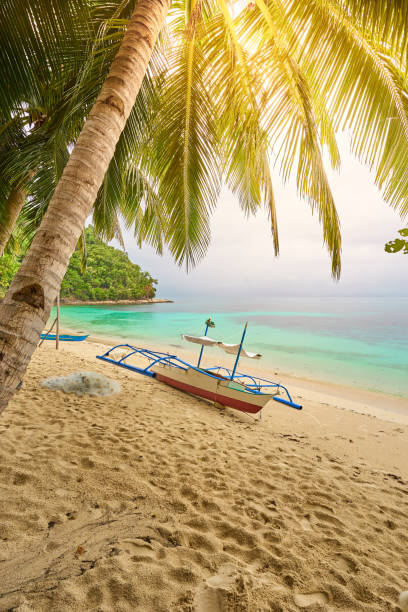 istock Fisherboat lying peaceful under palm trees on tropical island, Palawan, Philippines 1216779135