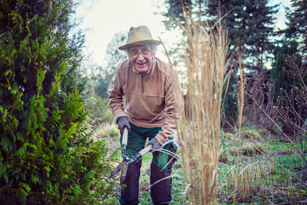 istock Kind old gentleman is gardening in early spring 1216779143