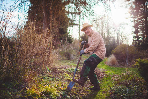 istock Kind old gentleman is gardening in early spring 1216779232