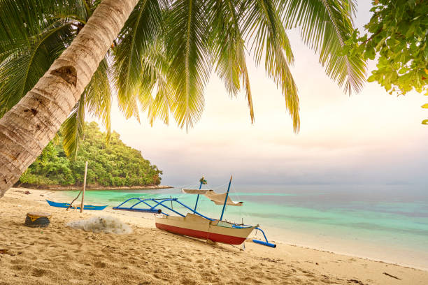 istock Fisherboat lying peaceful under palm trees on tropical island, Palawan, Philippines 1216779395