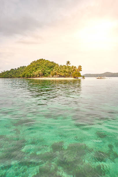istock Tropical Island next to Port Barton, Palawan, Philippines 1216779469