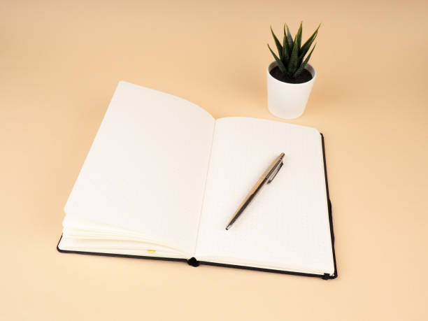 istock Workspace notebook, cactus plant on table. cactus and diary notebook book with pencil on beige 1216779584