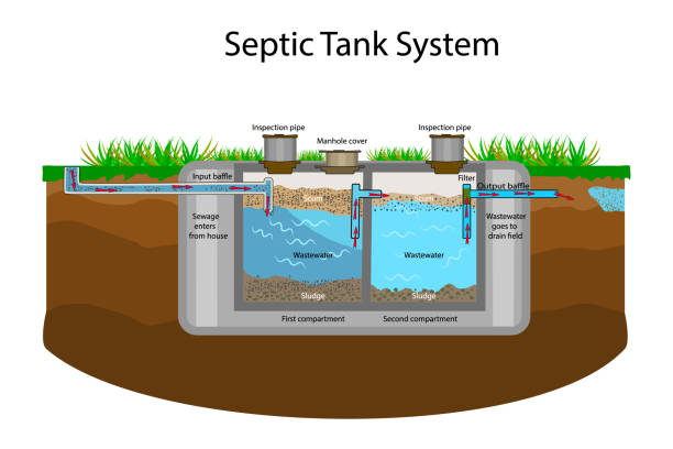 illustrazioni stock, clip art, cartoni animati e icone di tendenza di diagramma della fossa settica. sistema settico e schema del campo di scarico. - treated water