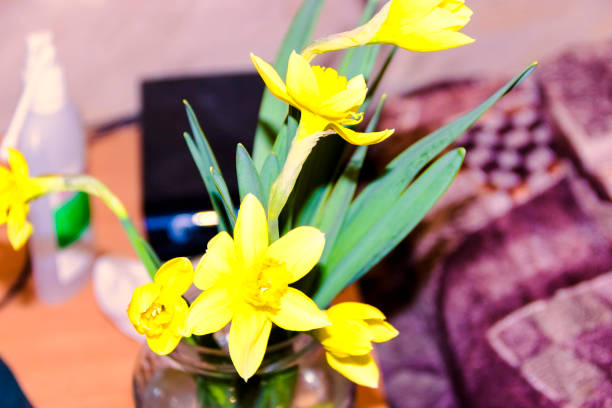istock Yellow daffodil flowers in vase on the table 1216784074