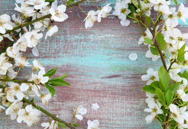 istock white flowers on wooden background 1216785210