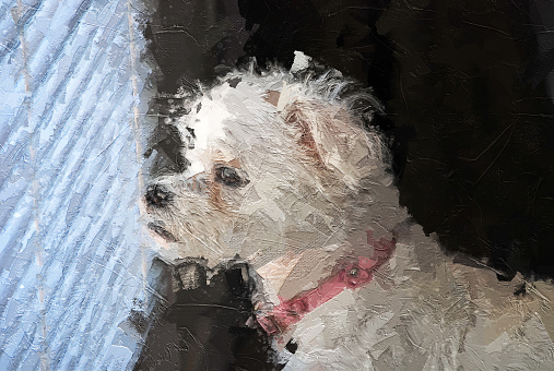 Impressionistic Style Artwork of an Adorable Little White Dog