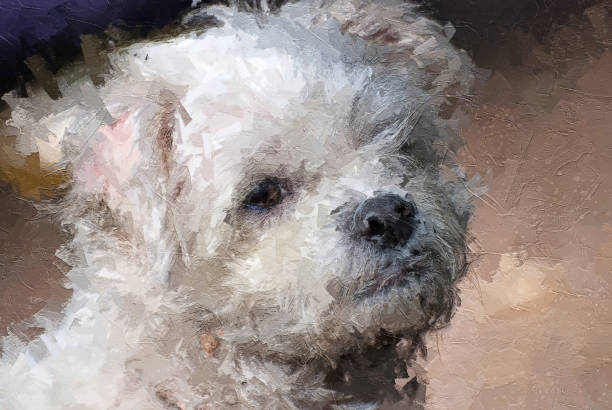 istock Impressionistic Style Artwork of an Adorable Little White Dog 1216786452