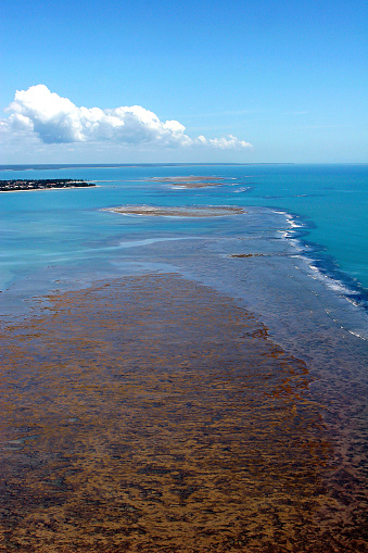 aerial view of corals in sea of  Porto Seguro, Bahia, Brazil