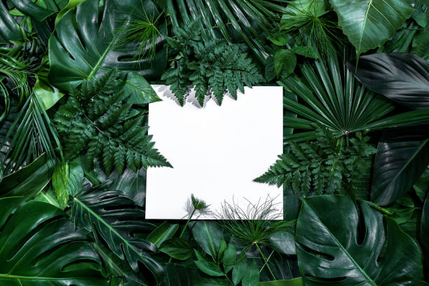 istock green leaves for background and wallpaper 1216789315