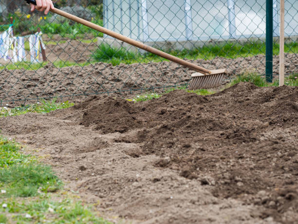 istock Raking soil with rake in the vegetable garden 1216789375