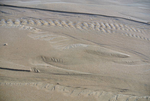 istock sea footprints on the beach 1216789379