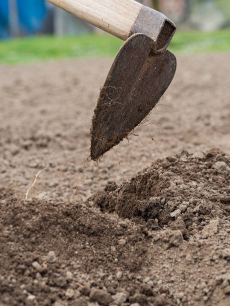 istock Digging the soil with a hoe in spring garden 1216789573