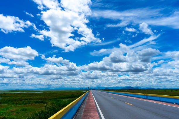 istock The road on wetlands with sky and cloud 1216791791