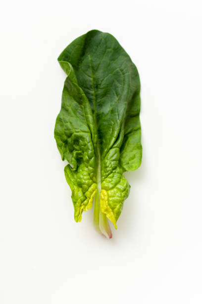 istock Fresh spinach leaves on a white background 1216796181