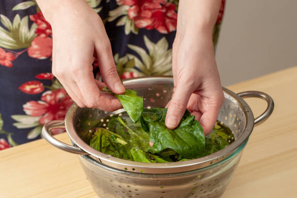Washing spinach leaves in a colander in the kitchen.