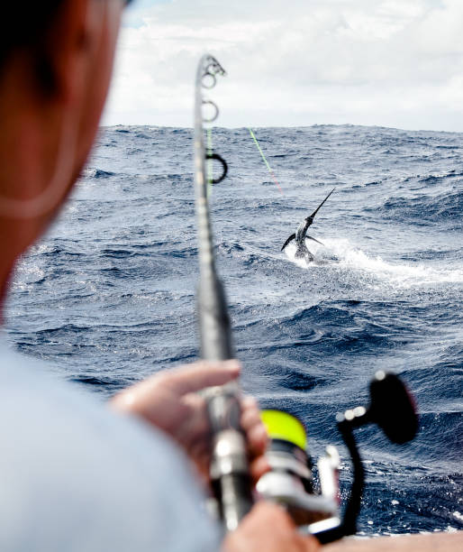 istock ocean fishing 1216796595