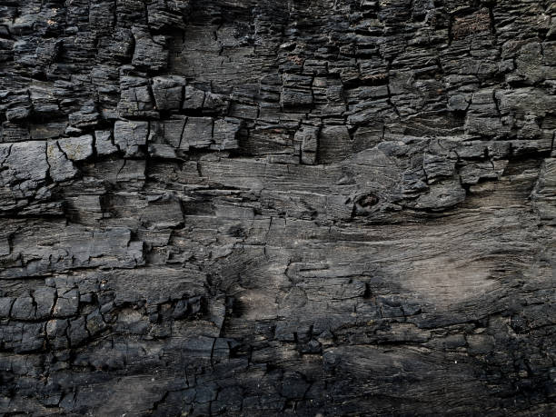 istock Charcoal crayon Carbon black background . A large plank of wood burned texture . 1216796655
