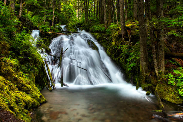 istock Mt Hood Hiking 1216798361