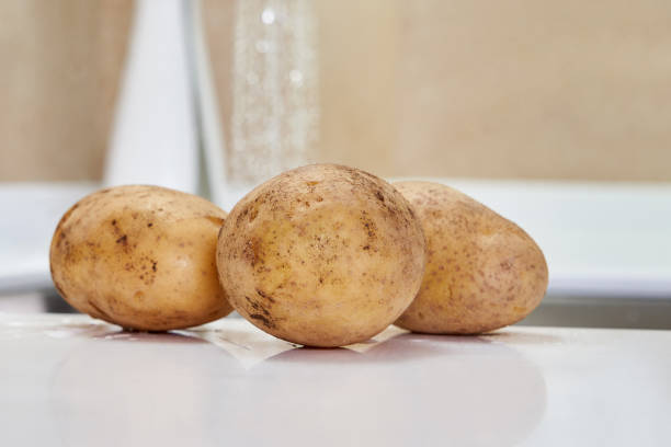 pose humide de pomme de terre près de l’évier prêt à être cuit - raw potato organic human skin food photos et images de collection