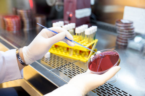 istock Female scientist analyzing covid-19 sample in the laboratory 1216801507