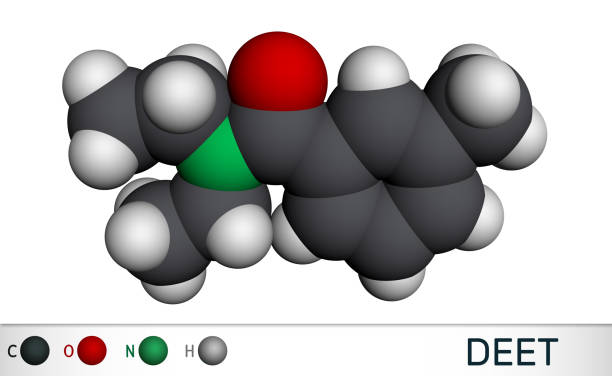 istock DEET, diethyltoluamide, N,N-Diethyl-meta-toluamide C12H17NO  molecule. It is active ingredient in insect repellents. Molecular model 1216804514