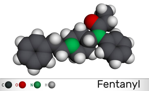 Fentanyl, fentanil,  C22H28N2O molecule. It is opioid analgesic. Molecular model Fentanyl, fentanil,  C22H28N2O molecule. It is opioid analgesic. Molecular model. 3D rendering fentanyl stock illustrations