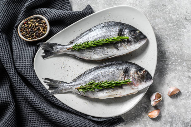 istock Fresh Dorado fish ready for cooking. Gray background. top view. 1216805879