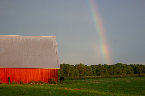 Bright red barn under a vibrant rainbow