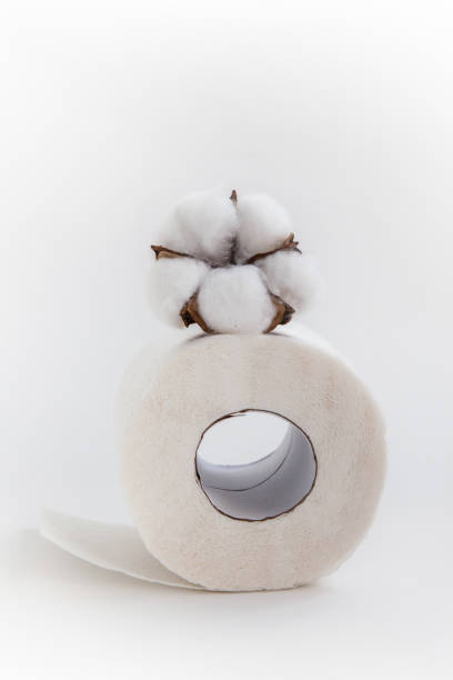 istock white toilet roll and plant cotton on a white background 1216807775