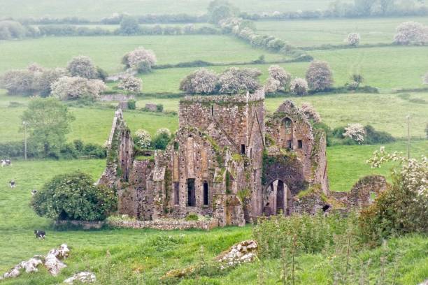 istock Hore Abbey Ruins in Ireland 1216807963