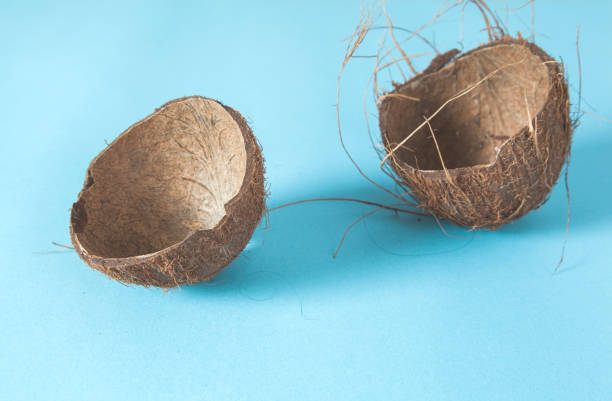 istock coconut on the desk 1216808963