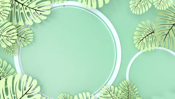 istock Green leaf border Plant frames on Green background.Greeting card Concept - 3d rendering 1216809270