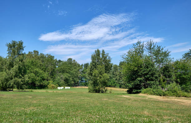 istock Green rural summe landscape with blue sky 1216810339